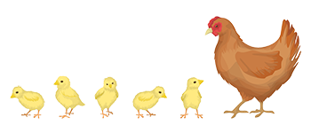 AdobeStock_167765474 chickens hen ed