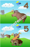 Animals Went in Two by Two visuals2-bn