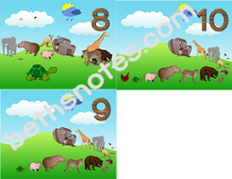 Animals Went in Two by Two visuals4-bn