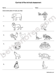 Carnival of Animals assessment-bn