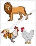 Carnival of Animals visuals1-bn
