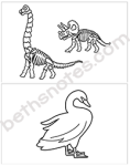 Carnival of Animals visuals13-bn
