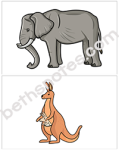 Carnival of Animals visuals3-bn
