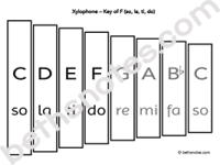 Doctor Katchel paper xylophone-bn