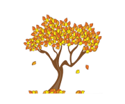 Fall Autumn Fall Autumn