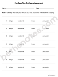 Families of the Orchestra Assessment1-bn