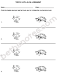 Fast Slow assessment2-hare tortoise Fast Slow assessment2-hare tortoise