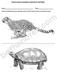 Fast Slow coloring1 cheetah tortoise Fast Slow coloring1 cheetah tortoise