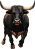 Fiesta de San Fermin toros bull