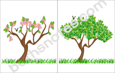 Four Seasons visuals1-2-bn