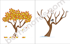 Four Seasons visuals3-4-bn