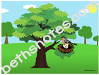 Green Grass Grows All Around visual1-bn Green Grass Grows All Around visual1-bn