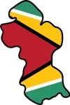 Guyana flag map mine-222