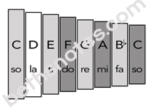 I Took a Walk paper xylophone tinted-bn