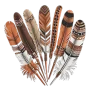 Indigenous people