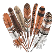 Indigenous people