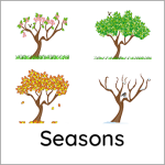 Seasons box