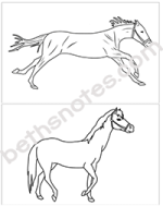 See the Pony Galloping visuals1-bn