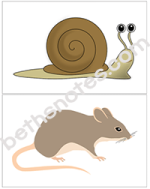 Slowly Slowly mouse snail visuals1-bn