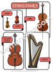 String Family Handout-bn String Family Handout-bn