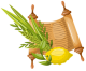 Sukkot-350
