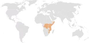 Swahili gray world