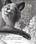 The Other Day I Met a Bear book