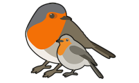 The Robins-350