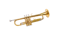 Trumpets horns-300