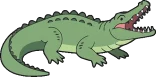 alligator canva