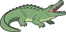 alligator canva