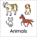 animals box