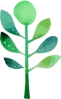 arbor day tree