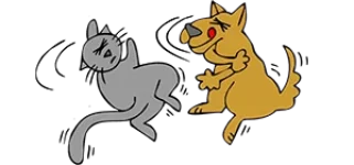 cat fight-300