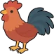 chicken canva sm