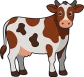 cow adobe sm