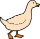 duck-46068_640 sm