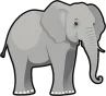 elephant canva sm