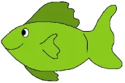 fish ed