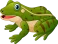 frog sm