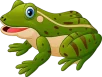 frog sm