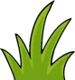 grass