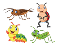 insects-222