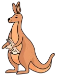 kangaroo-222 kangaroo-222