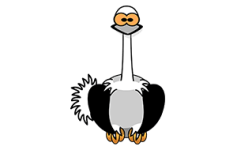 ostrich-300