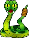 rattlesnake222