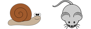 snail mouse