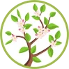 spring sm