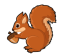 squirrels-250