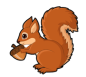 squirrels-250
